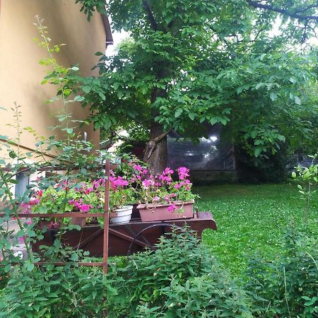 Apartament W Domu Na Wsi Tomaszów Lubelski Екстериор снимка
