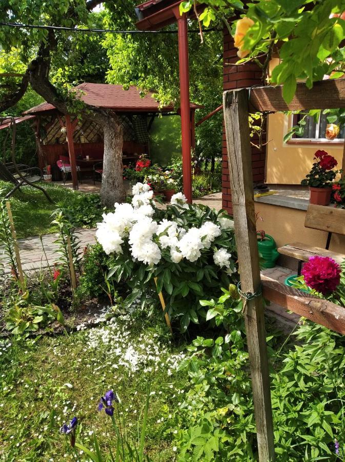 Apartament W Domu Na Wsi Tomaszów Lubelski Екстериор снимка