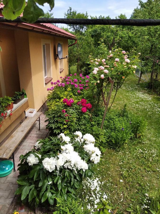 Apartament W Domu Na Wsi Tomaszów Lubelski Екстериор снимка