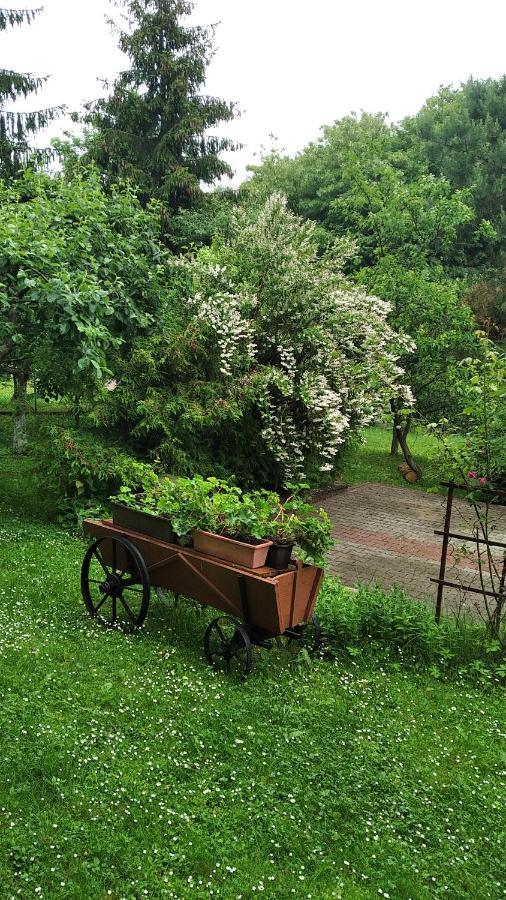 Apartament W Domu Na Wsi Tomaszów Lubelski Екстериор снимка