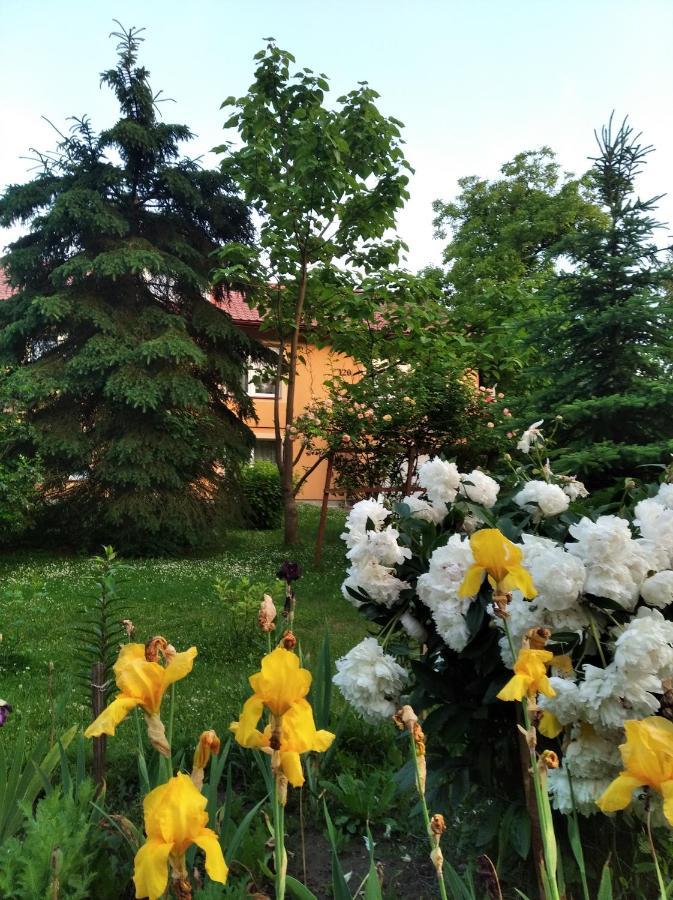 Apartament W Domu Na Wsi Tomaszów Lubelski Екстериор снимка