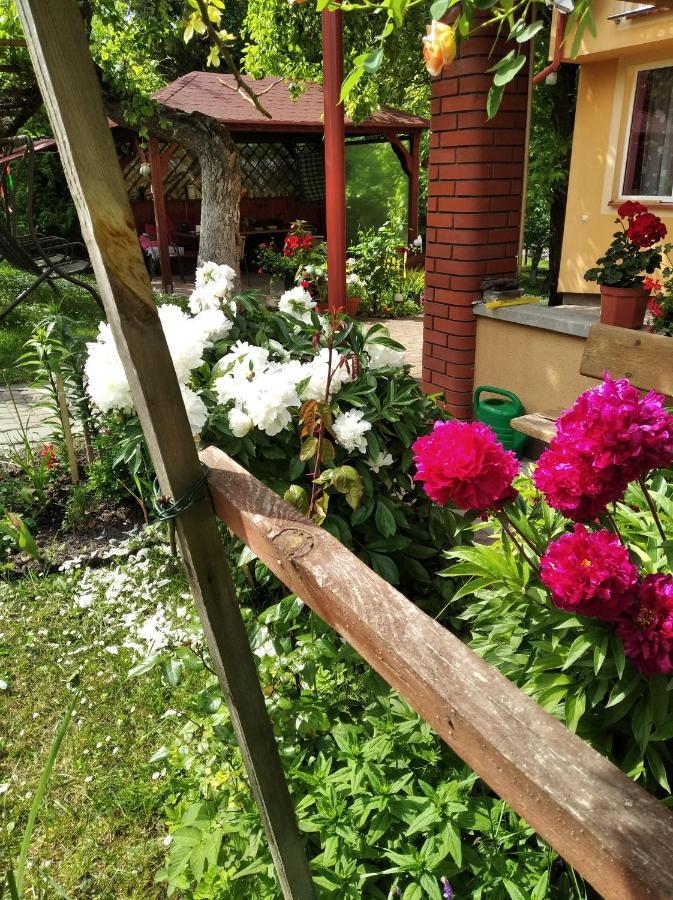 Apartament W Domu Na Wsi Tomaszów Lubelski Екстериор снимка