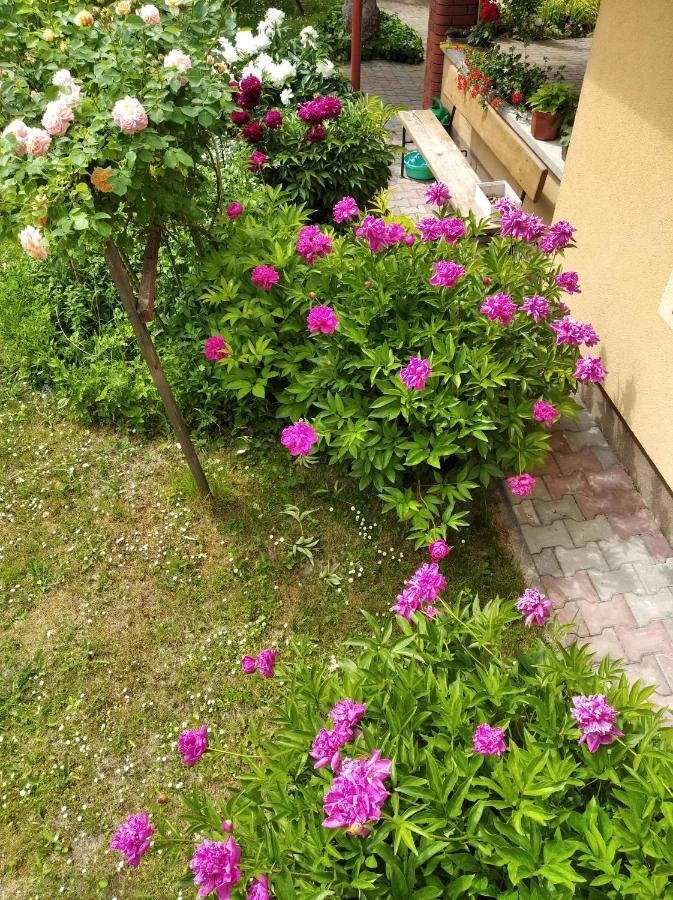 Apartament W Domu Na Wsi Tomaszów Lubelski Екстериор снимка